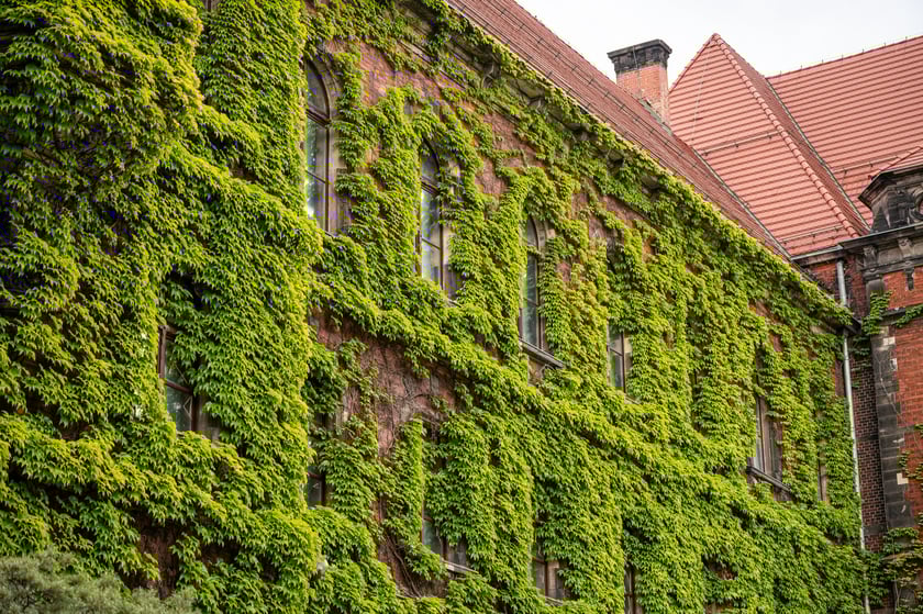 Muzeum Narodowe we Wrocławiu